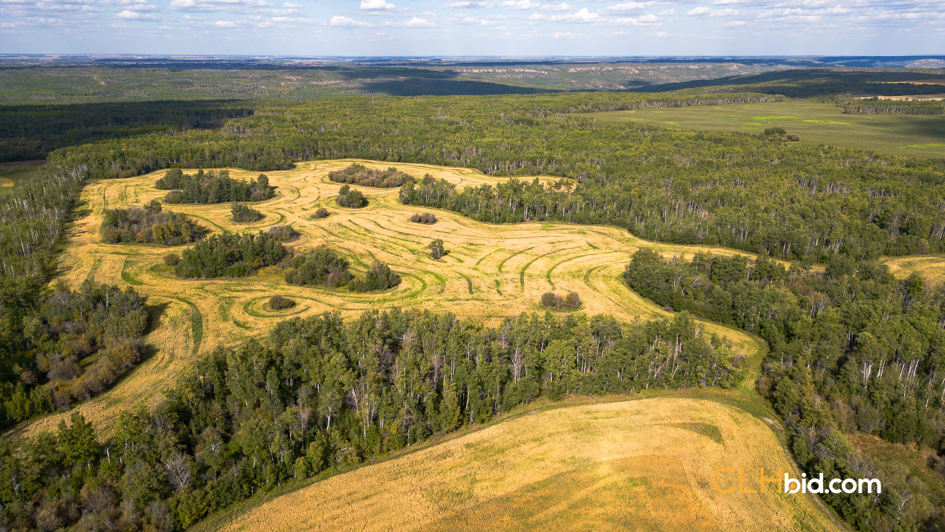 Web Wanham Expander-6