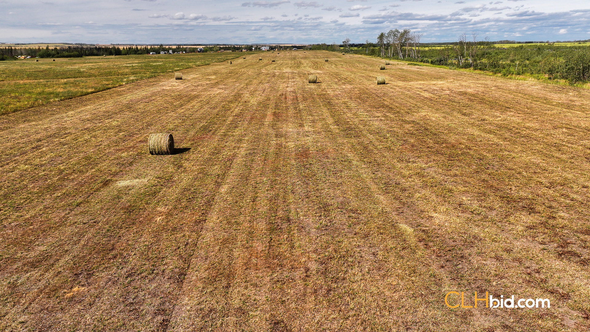 Web Ronald Koistinen-4