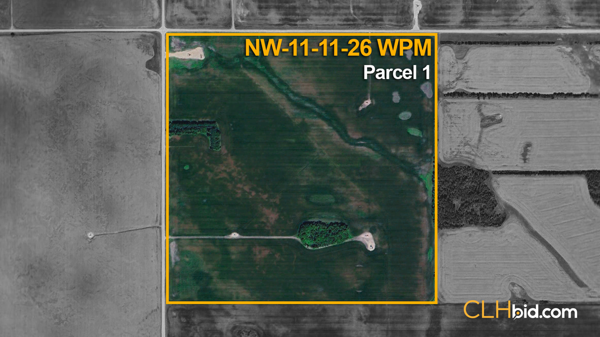 P1-NW-11-11-26-WPM