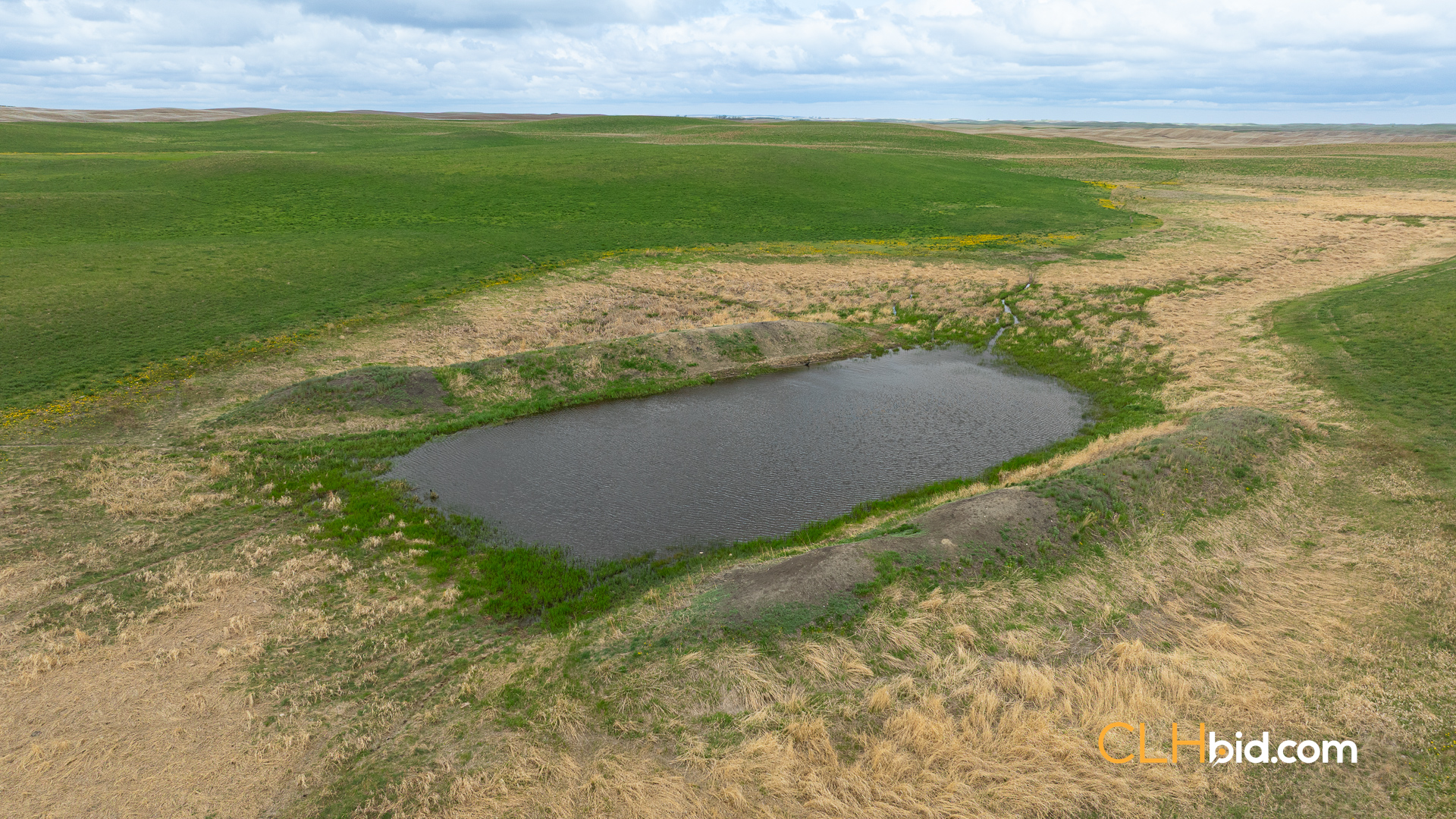 Web-LegacyMoveNEW-22