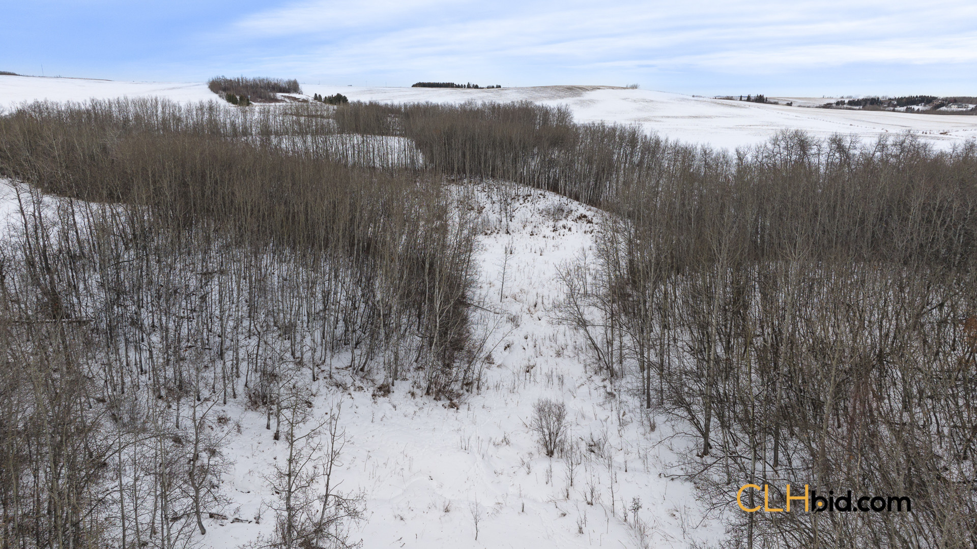 EliteStatus3-Web169-9