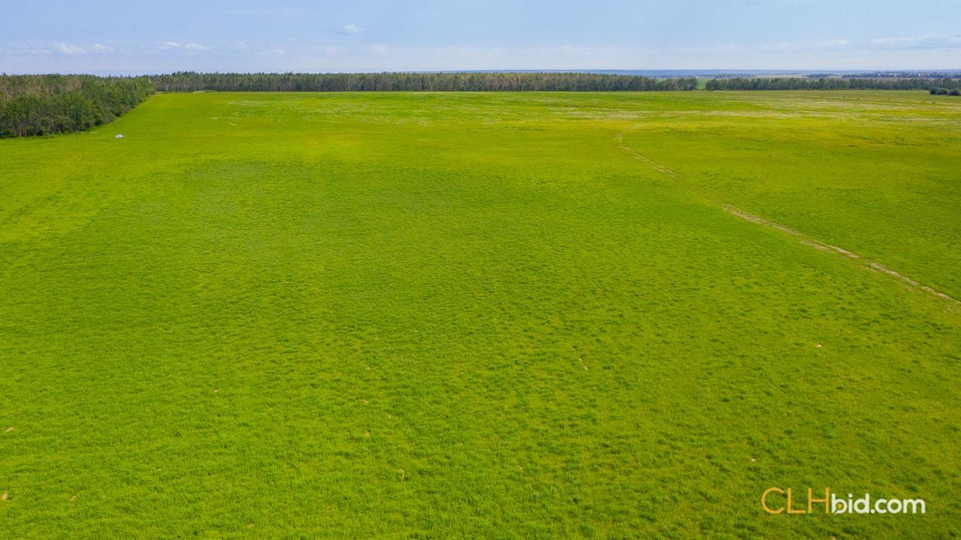 silvervalleydiamondintherough-1-2