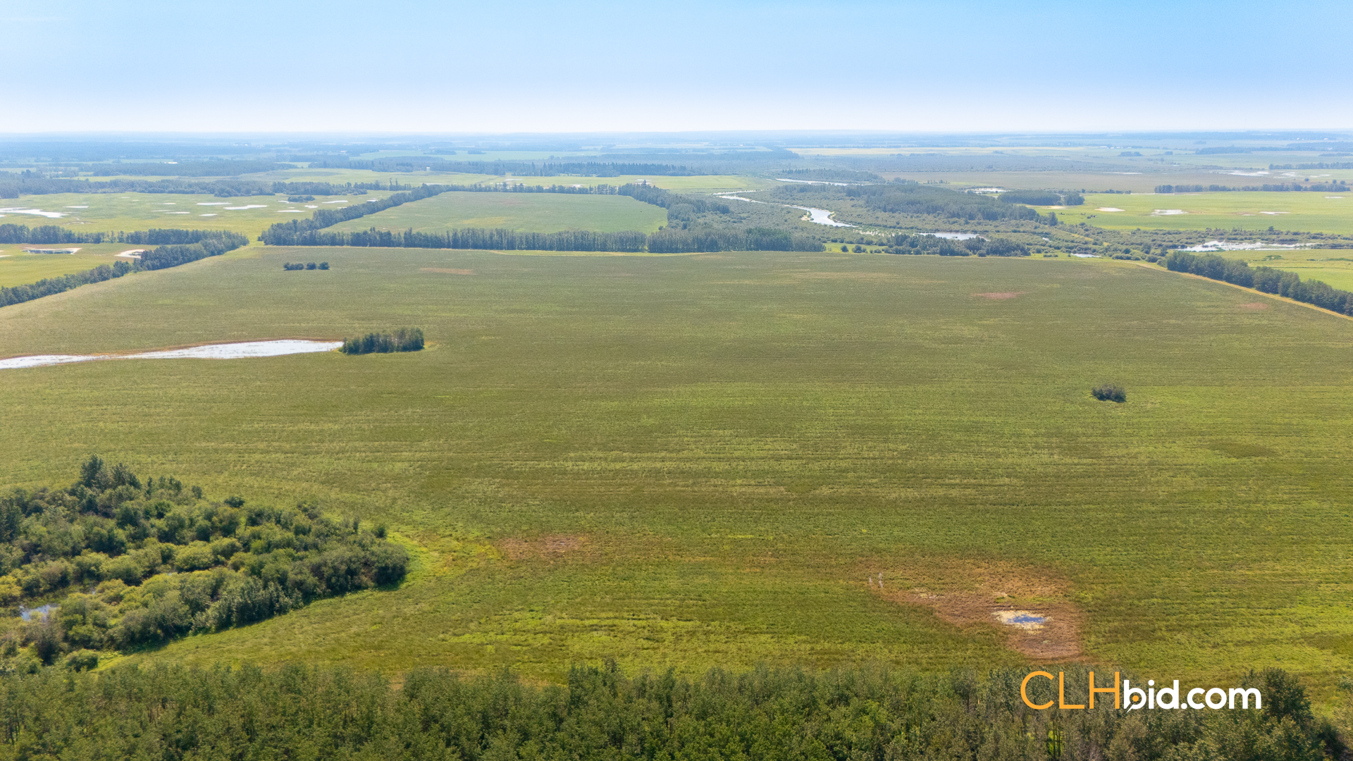 View from above of The Forage Frontier
