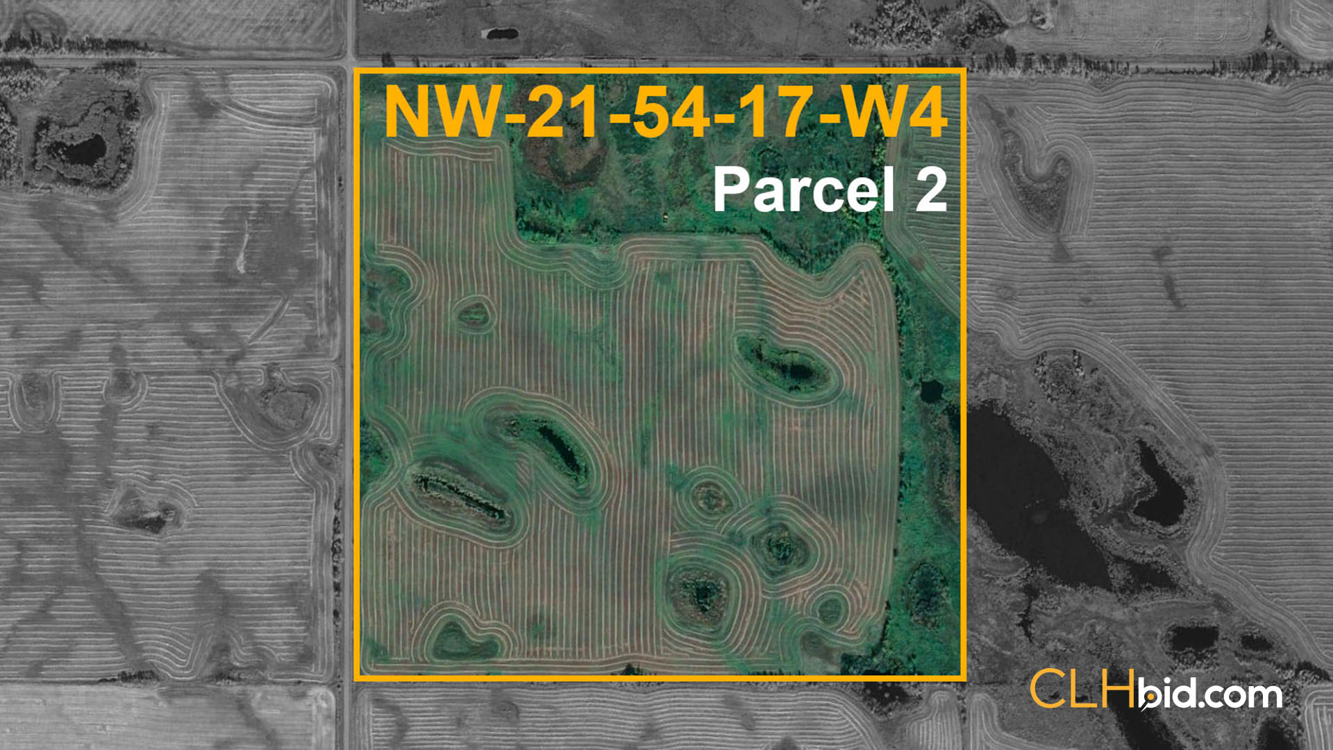 Parcel 2 Lamont 320 - WIDE Contentful