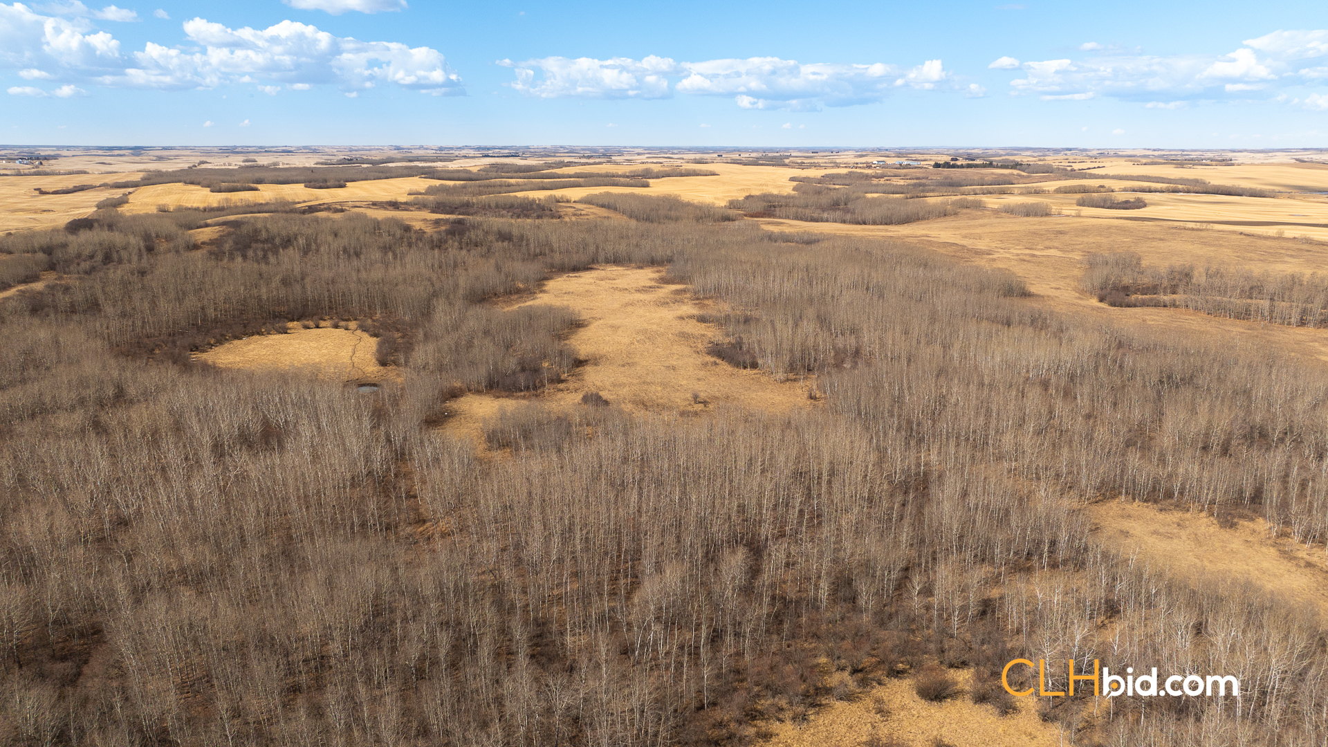 Web-VermilionSiesta-10