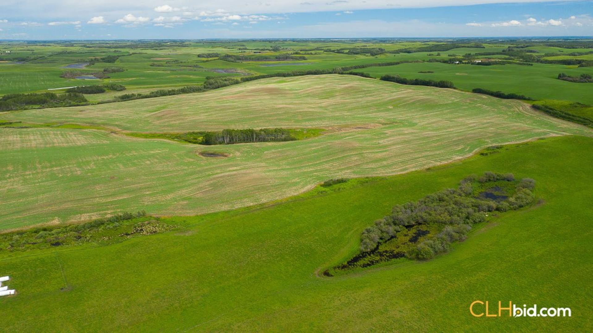 clandonaldcountrycousins-2-3