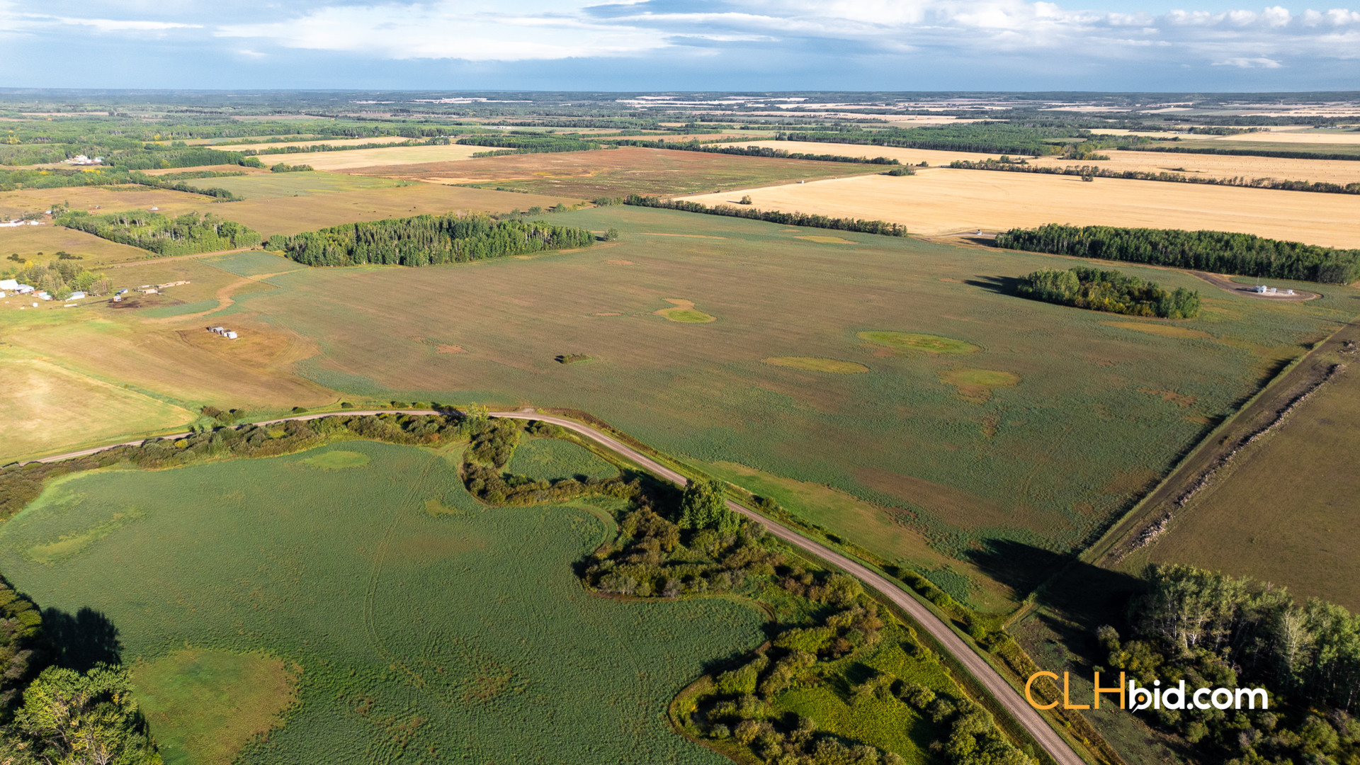 Web Premium Southwester-1