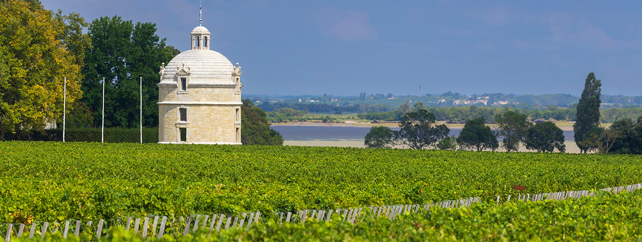 bindella-wh-weinwissen-regionen-frankreich-bordeaux-hero