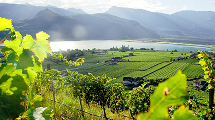 bindella-wh-produzenten-alois-lageder-teaser