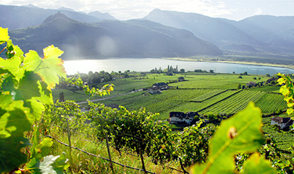 bindella-wh-produzenten-alois-lageder-teaser