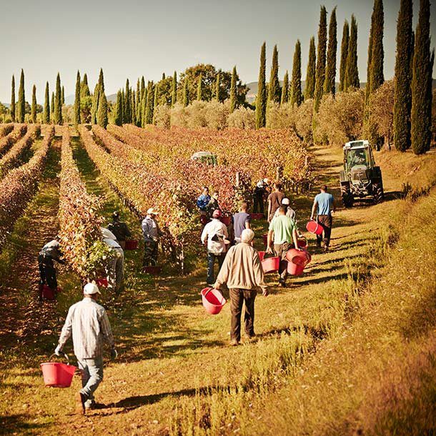 Geschichte Bindella 1982 Vallocaia