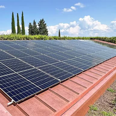 bindella-weinshop-ueber-uns-nachhaltigkeit-energie-nachhaltigkeit-im-weinbau-nb3