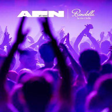 blog-festivalsommer-alla-bindella-all-i-need-festival