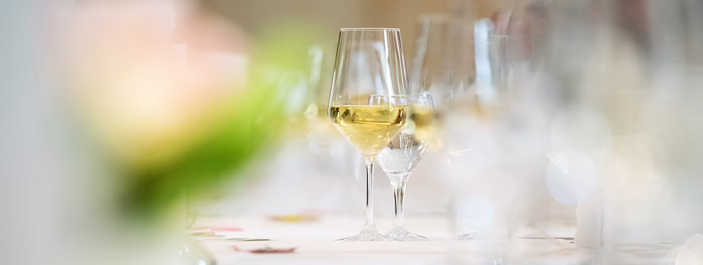 bindella-wh-weinshop-sortiment-weissweine-hero