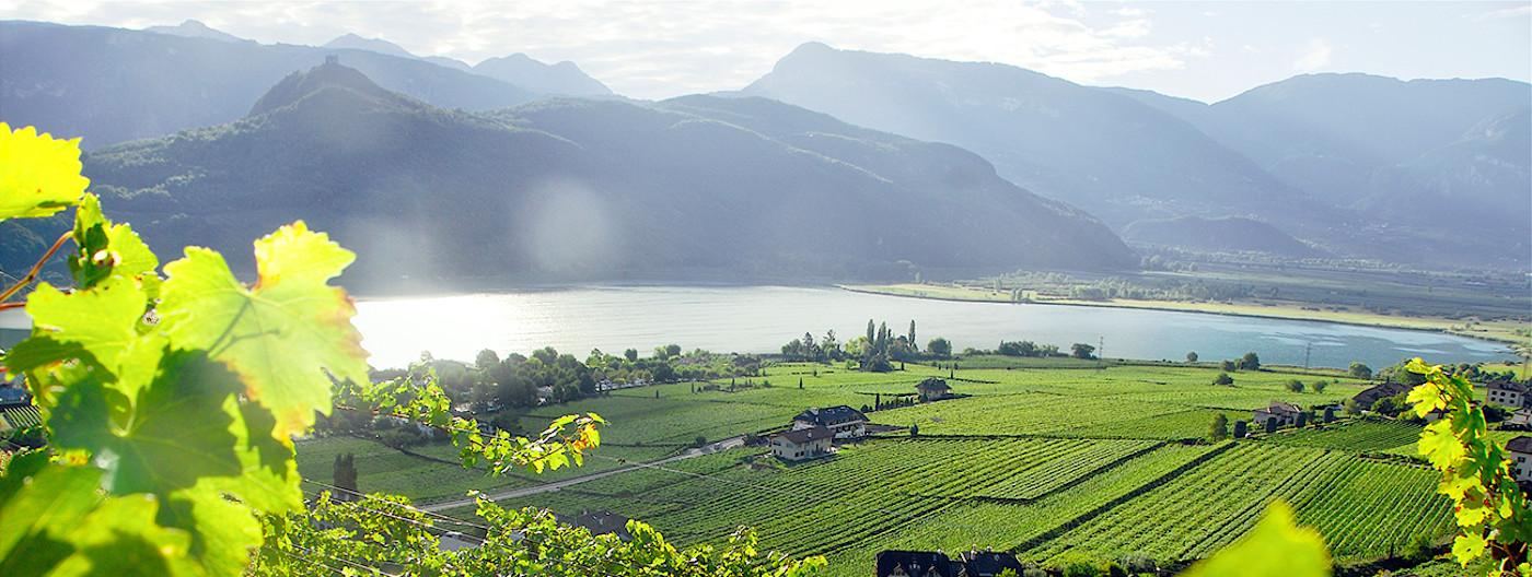 bindella-wh-produzenten-alois-lageder-hero