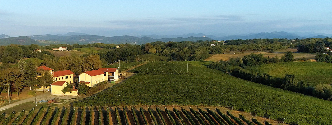 bindella-wh-produzenten-banfi-piemonte-hero