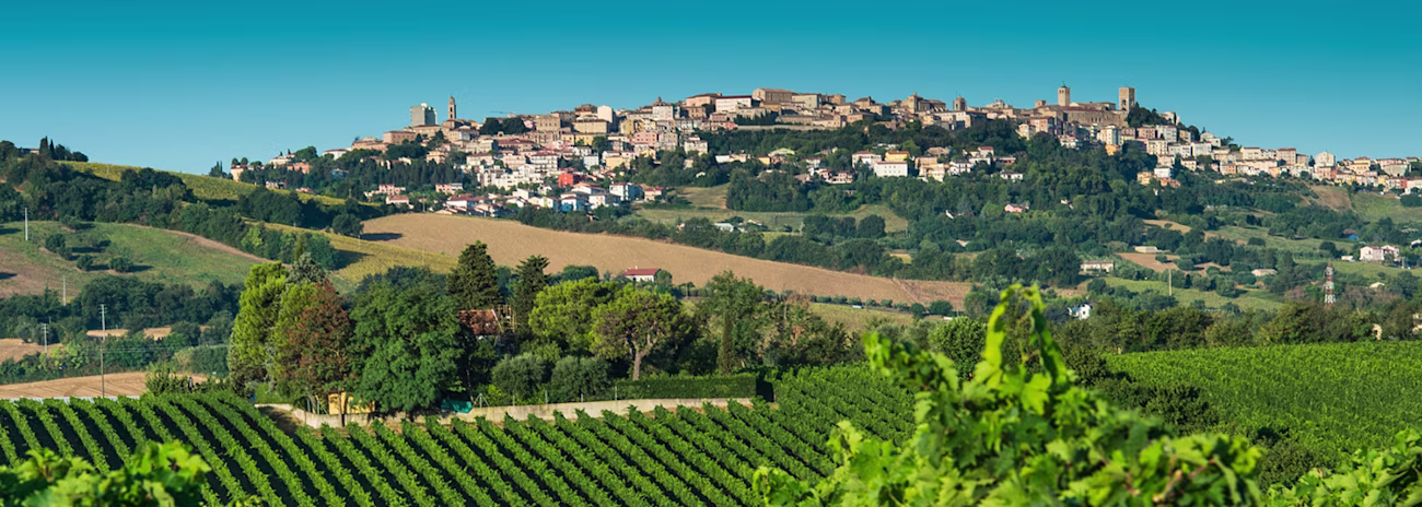 bindella-events-conero-un-paesaggio-nel-calice-nhea
