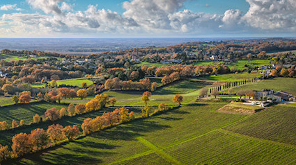 bindella-wh-weinwissen-regionen-frankreich-teaser