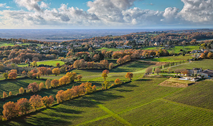 bindella-wh-weinwissen-regionen-frankreich-teaser
