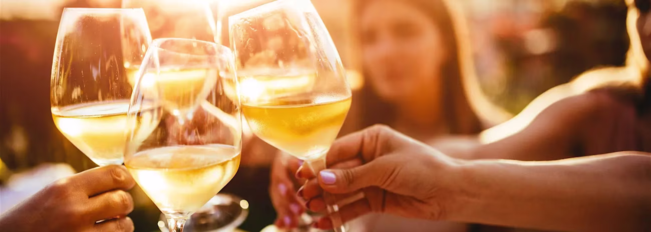 bindella-events-weinkurs-fuer-junge-zuerich-2026-nhea