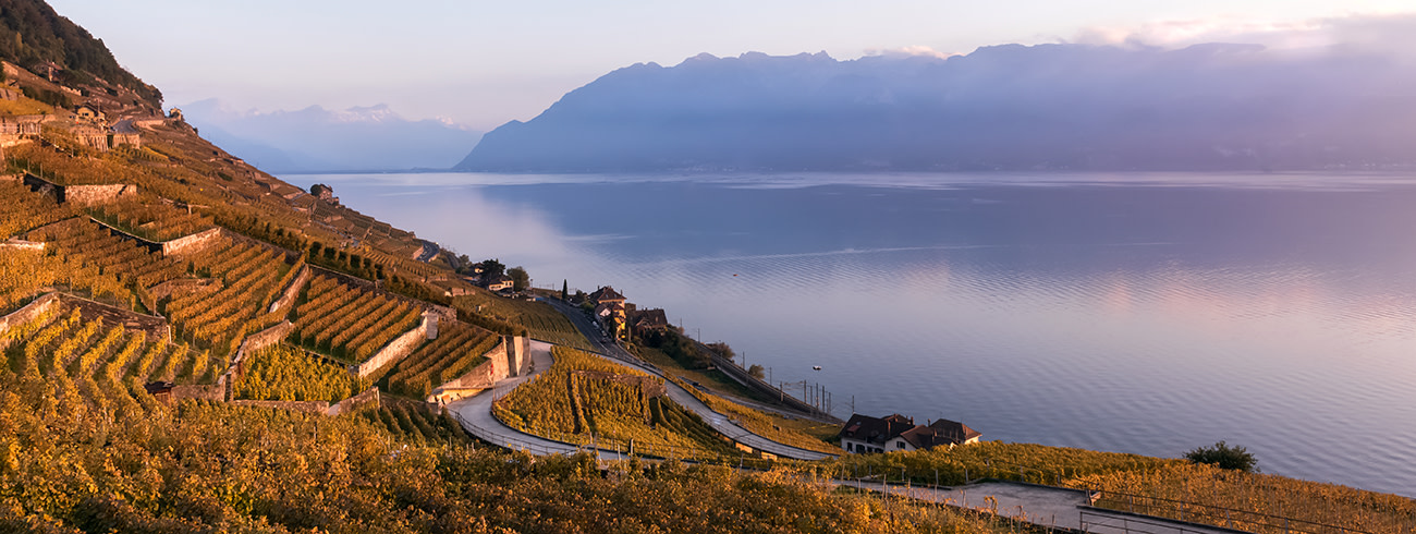 bindella-wh-weinwissen-regionen-schweiz-hero