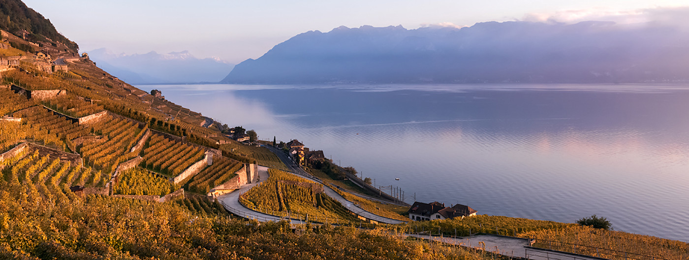 bindella-wh-weinwissen-regionen-schweiz-hero