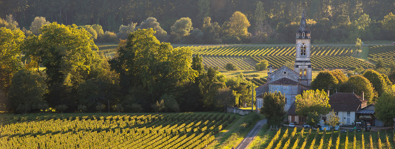 bindella-wh-weinwissen-regionen-frankreich-champagne-hero