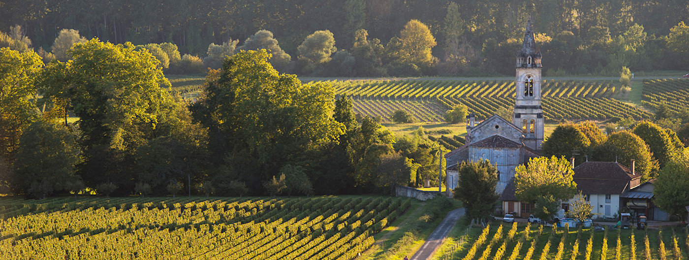 bindella-wh-weinwissen-regionen-frankreich-champagne-hero