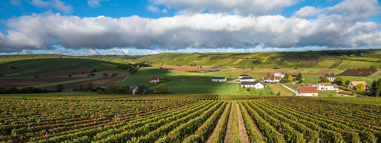 bindella-wh-weinwissen-regionen-frankreich-loire-hero