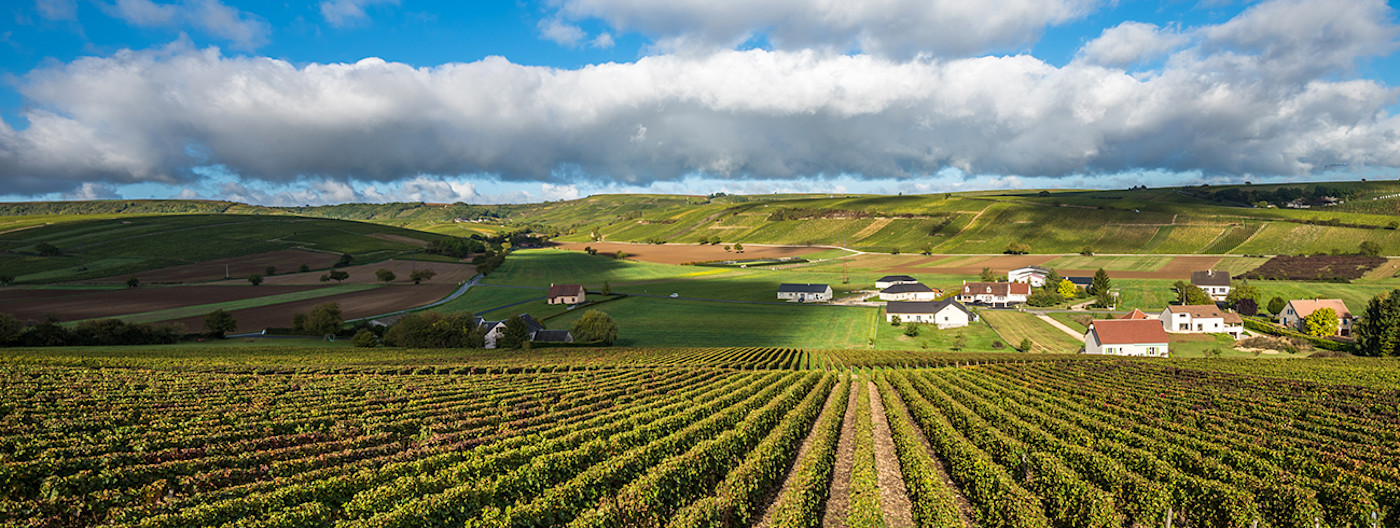 bindella-wh-weinwissen-regionen-frankreich-loire-hero