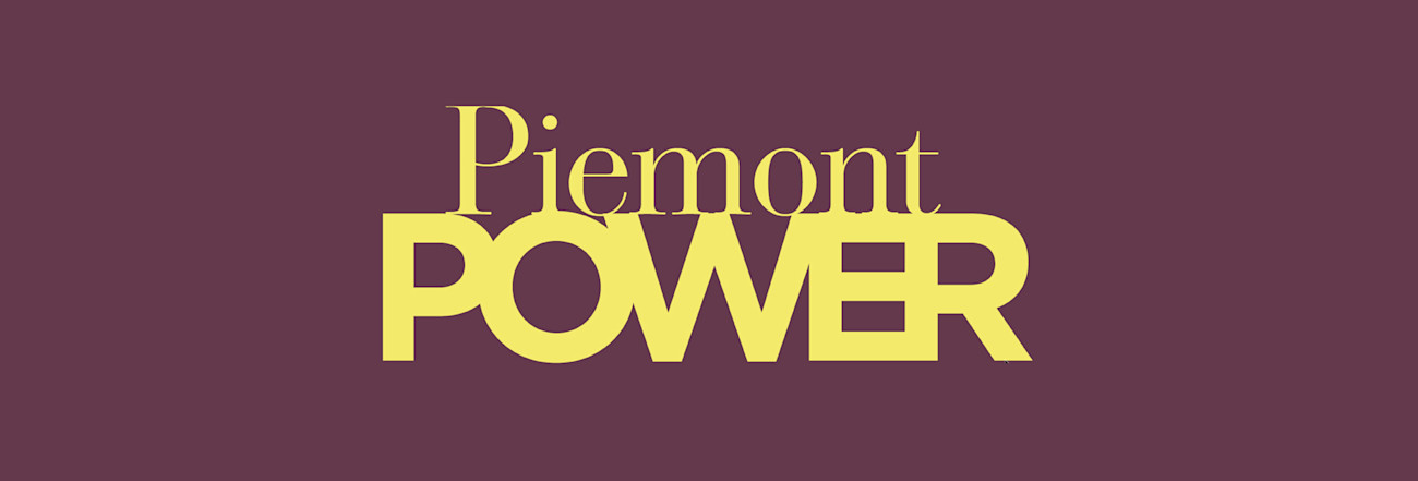 bindella-weinshop-weinwissen-w-&-gm-piemont-power-nsw