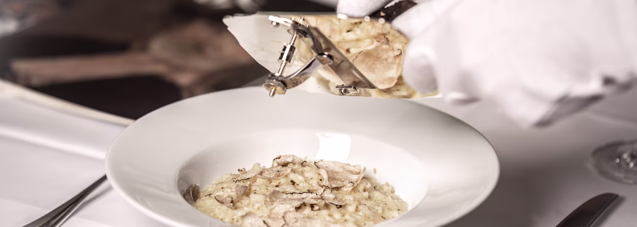Serata del Tartufo in Bern