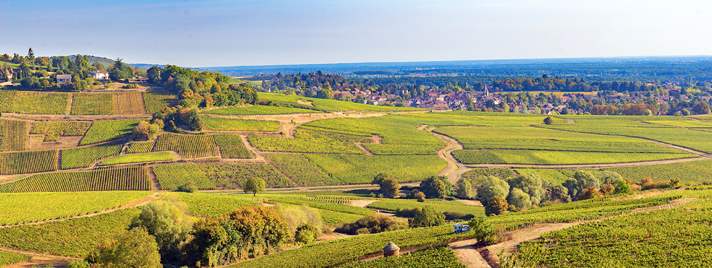 bindella-wh-weinwissen-regionen-frankreich-burgund-hero