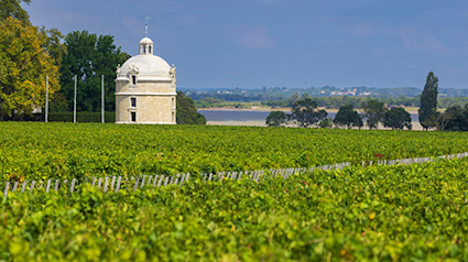 bindella-wh-weinwissen-regionen-frankreich-bordeaux-teaser
