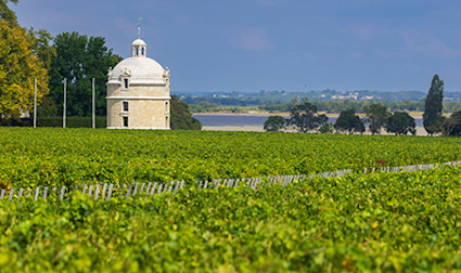 bindella-wh-weinwissen-regionen-frankreich-bordeaux-teaser