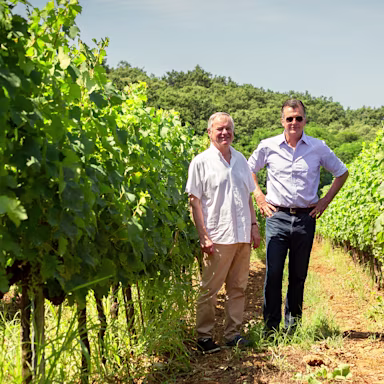 bindella-wh-produzenten-tenuta-vergaia-01-nprg