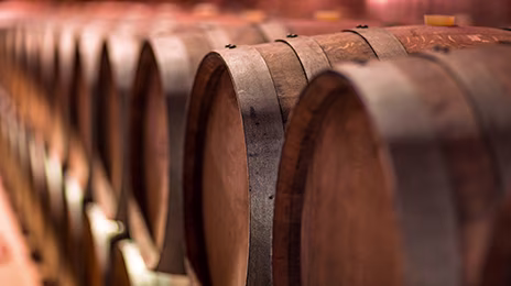 3er-topteaser-gross-weinkurs-supertuscans-bern-02-2026