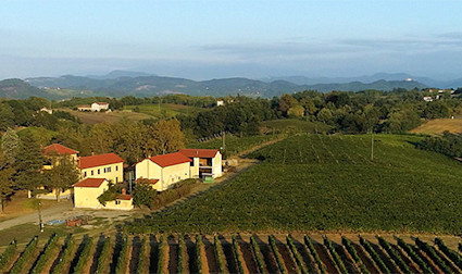 bindella-wh-produzenten-banfi-piemonte-teaser