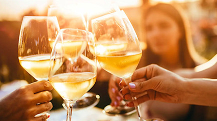 bindella-events-weinkurs-fuer-junge-zuerich-2026-neub