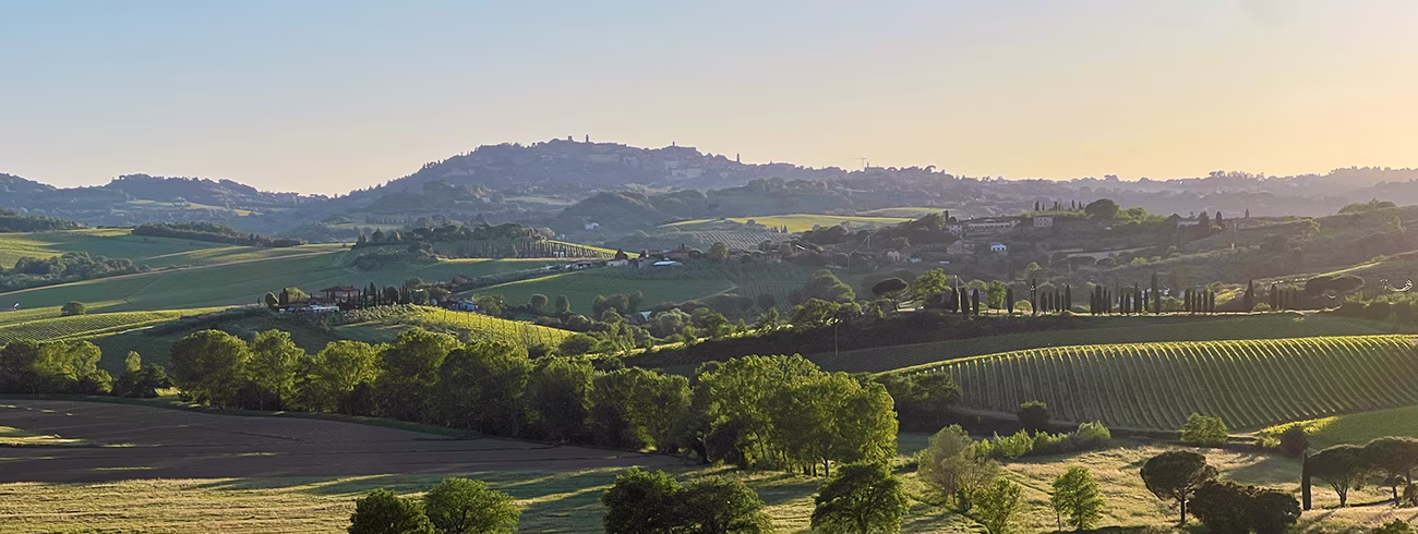 bindella-wh-weine-weinwissen-weinregionen-hero