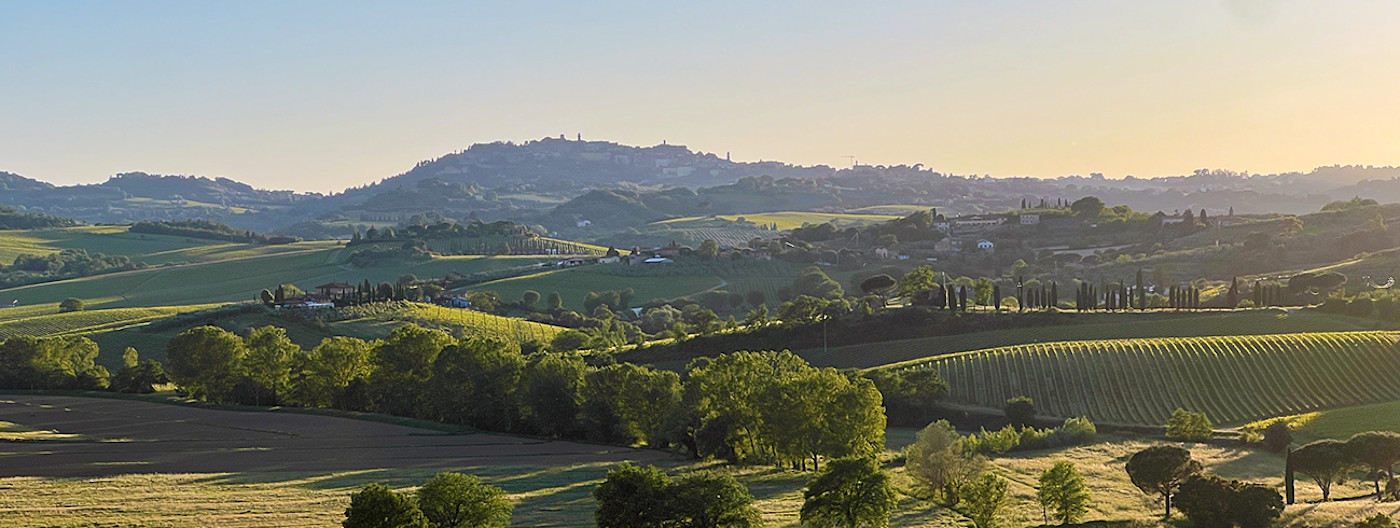 bindella-wh-weine-weinwissen-weinregionen-hero