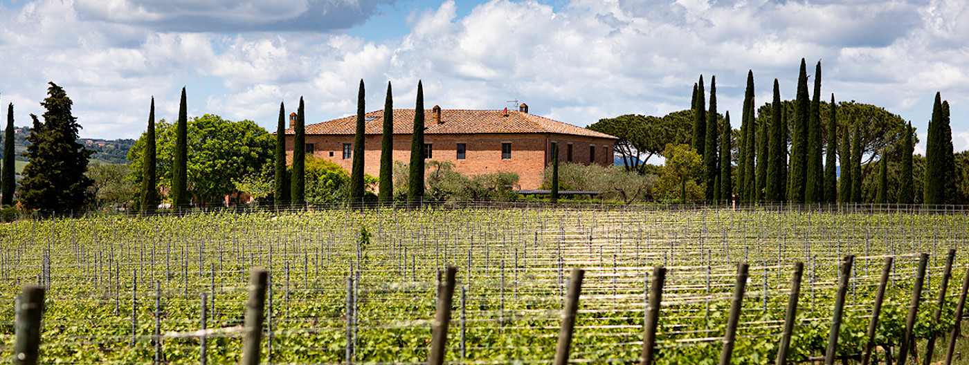 bindella-wh-weine-weinwissen-produzenten-hero