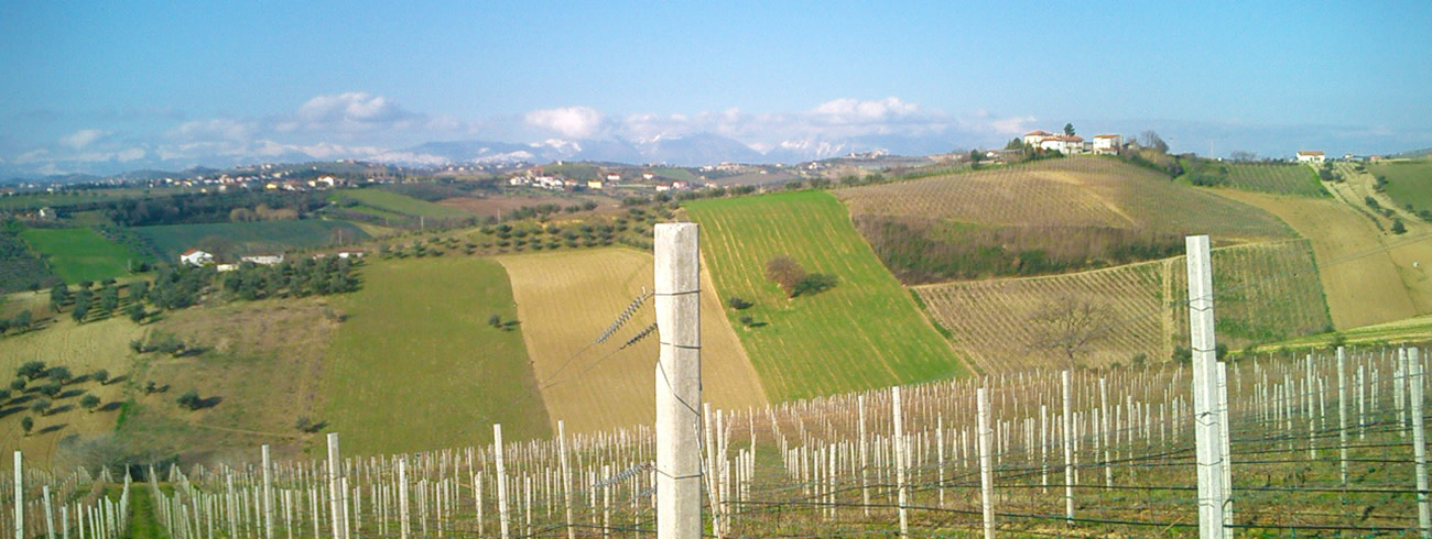 bindella-wh-produzenten-umani-ronchi-abruzzo-hero