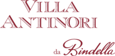 Logo Villa Antinori