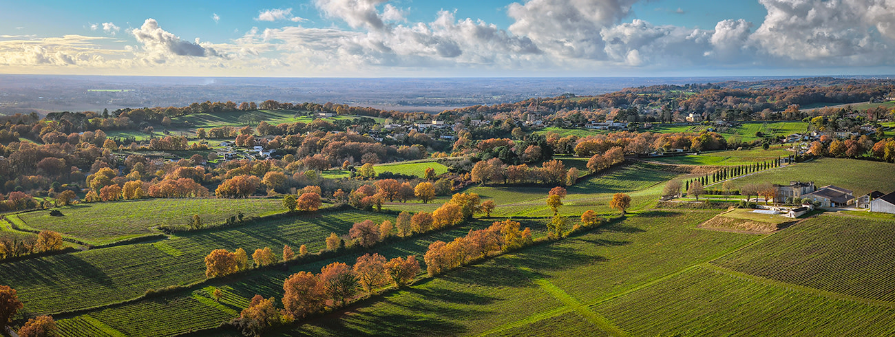 bindella-wh-weinwissen-regionen-frankreich-hero