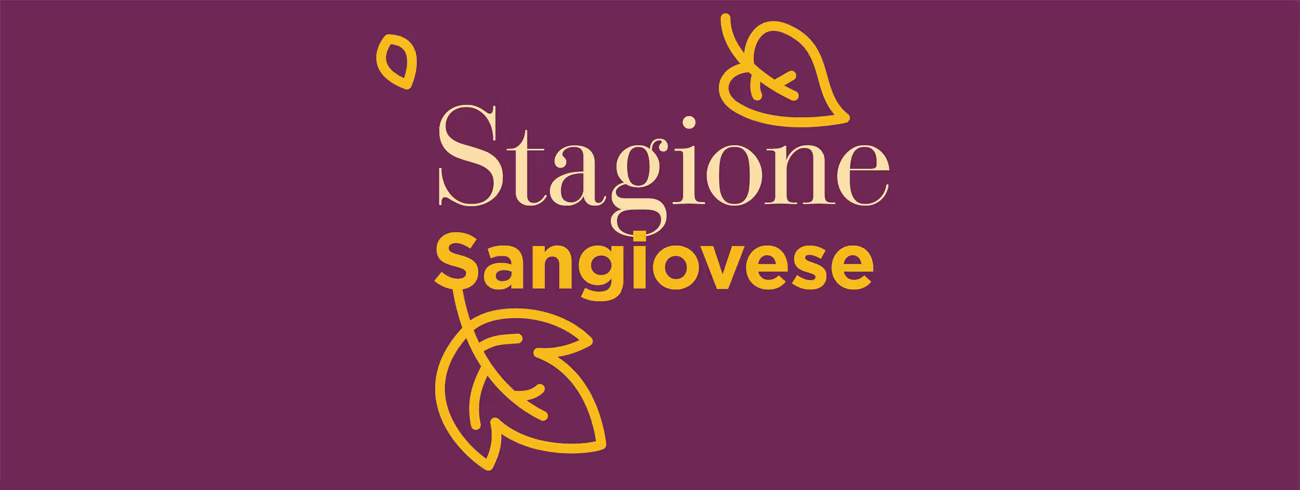 bindella-blog-stagione-sangiovese-hero