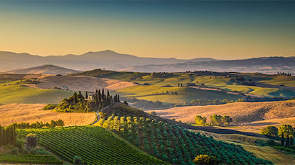 bindella-wh-weinwissen-weinlaender-teaser