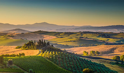 bindella-wh-weinwissen-weinlaender-teaser