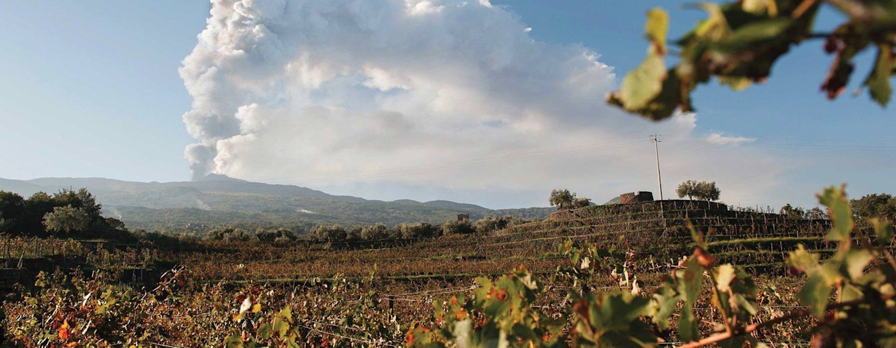 bindella-blog-ticino-vini-dell-etna-nblog