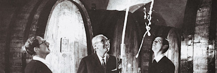 auf-der-ueberholspur-coverImage